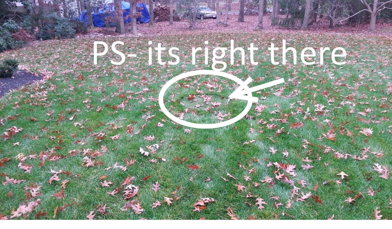 Illustration for article titled Septic tank lid in my yard will have hell toupee